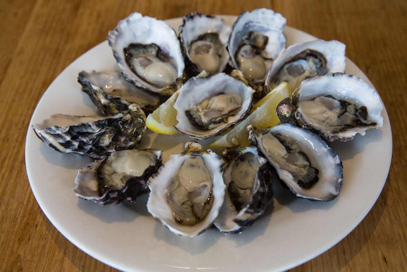 Bruny oysters