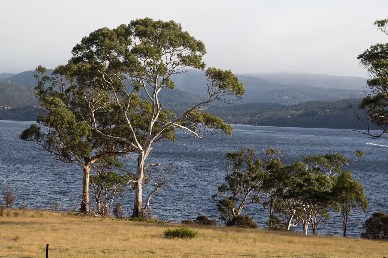 Driving Bruny Island