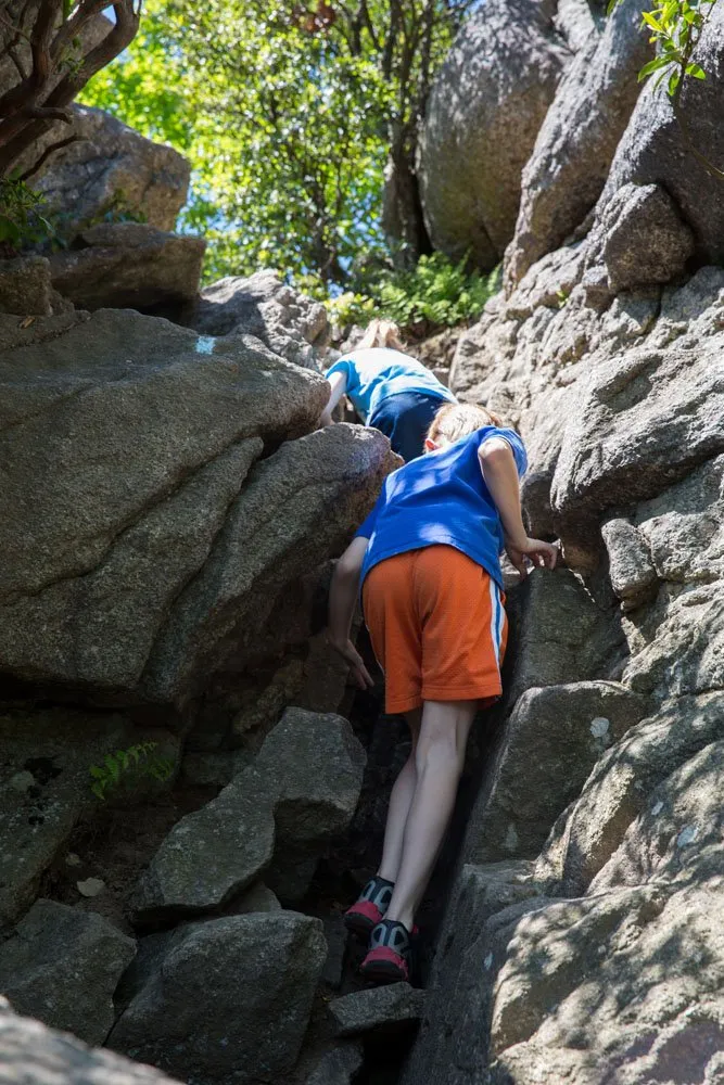 Old Rag Kids