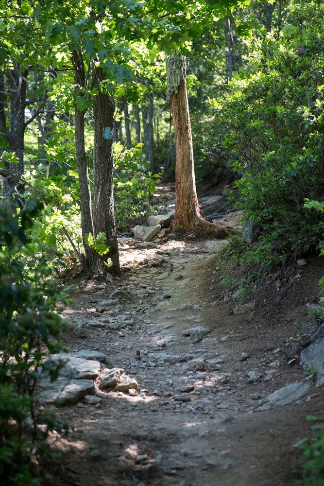 Old Rag Trail