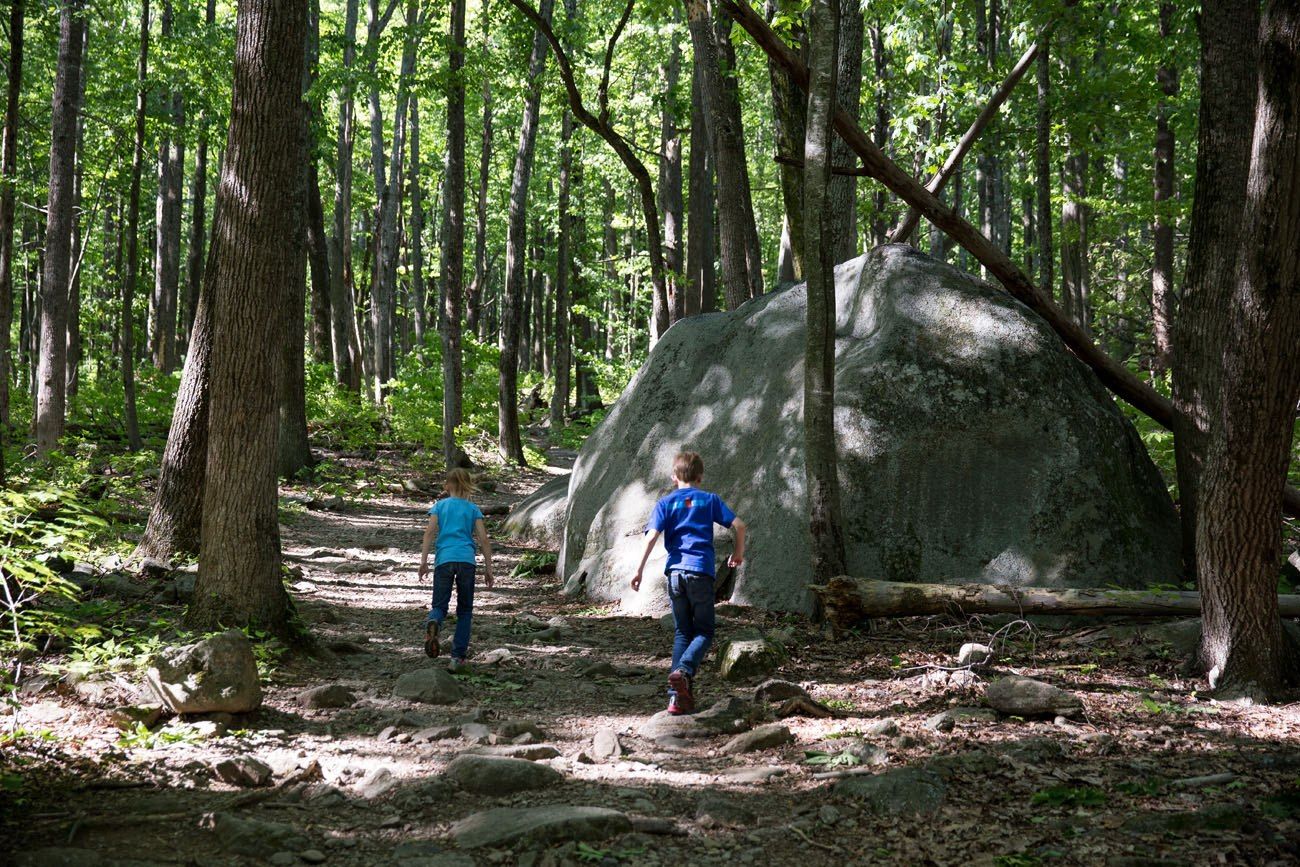 Ridge Trail Old Rag