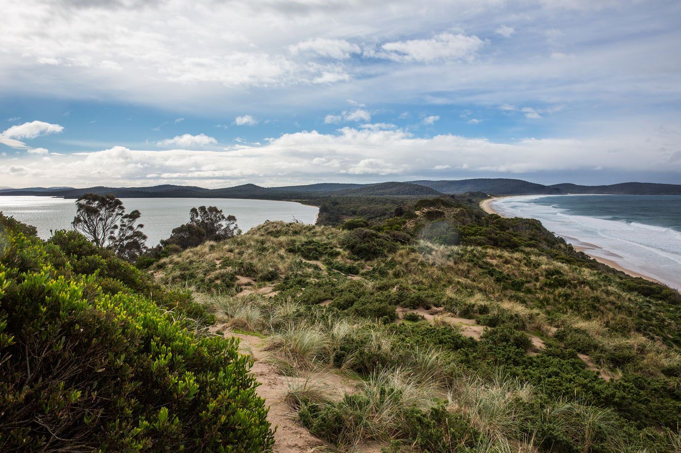 The neck tasmania