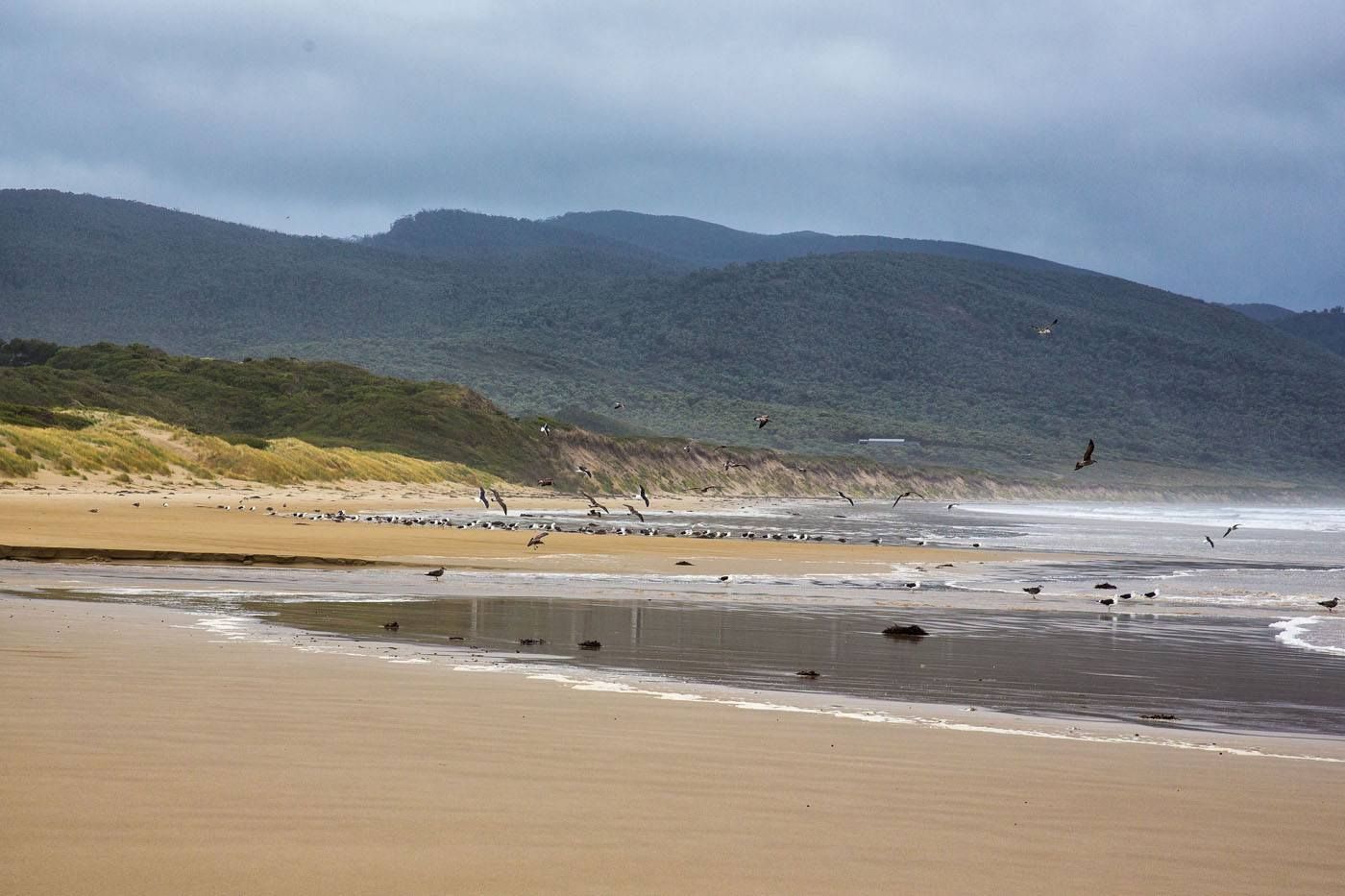 Cloudy Bay Bruny Island