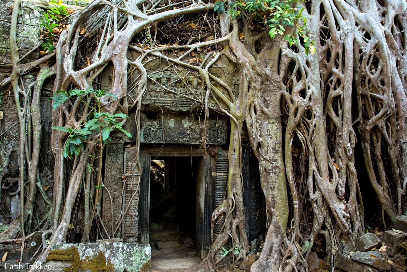 Best of Ta Prohm