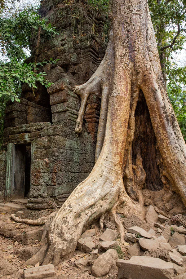 Cambodia Temple