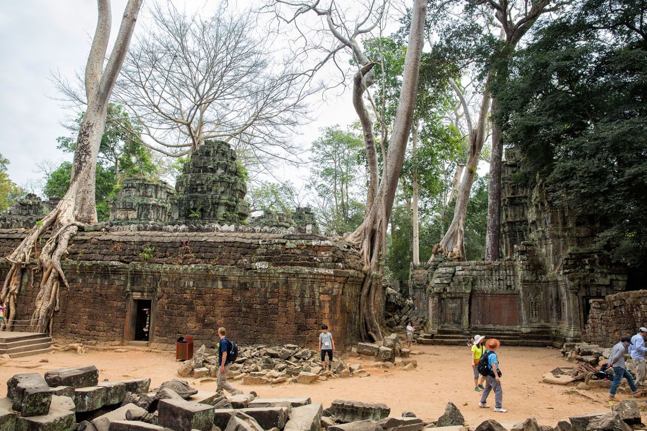 Ta Prohm Cambodia