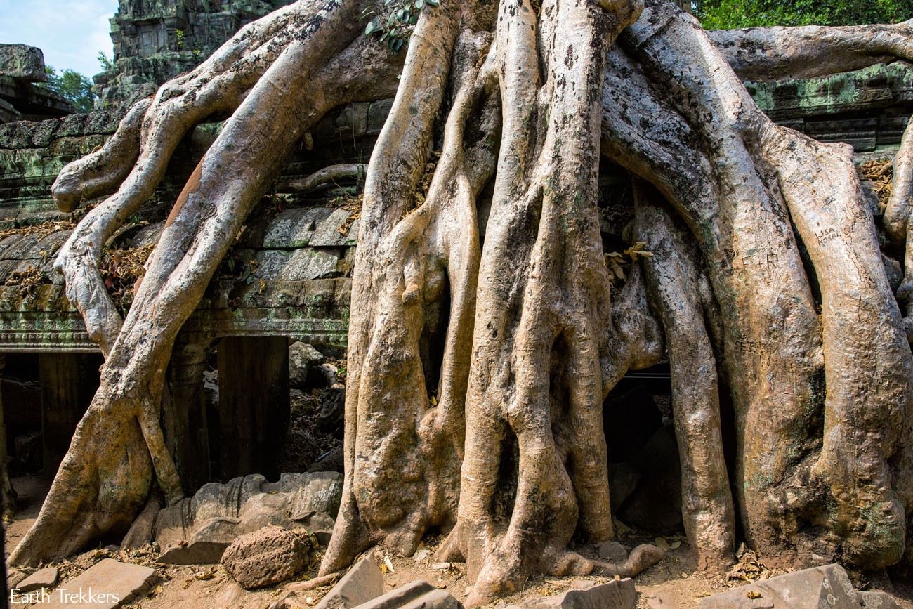 Ta Prohm Siem Reap