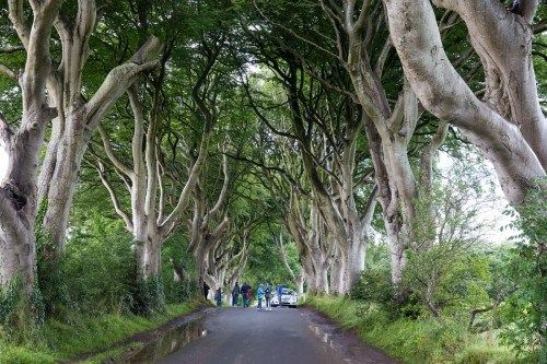 10 Day Ireland Itinerary: The Ultimate Irish Road Trip