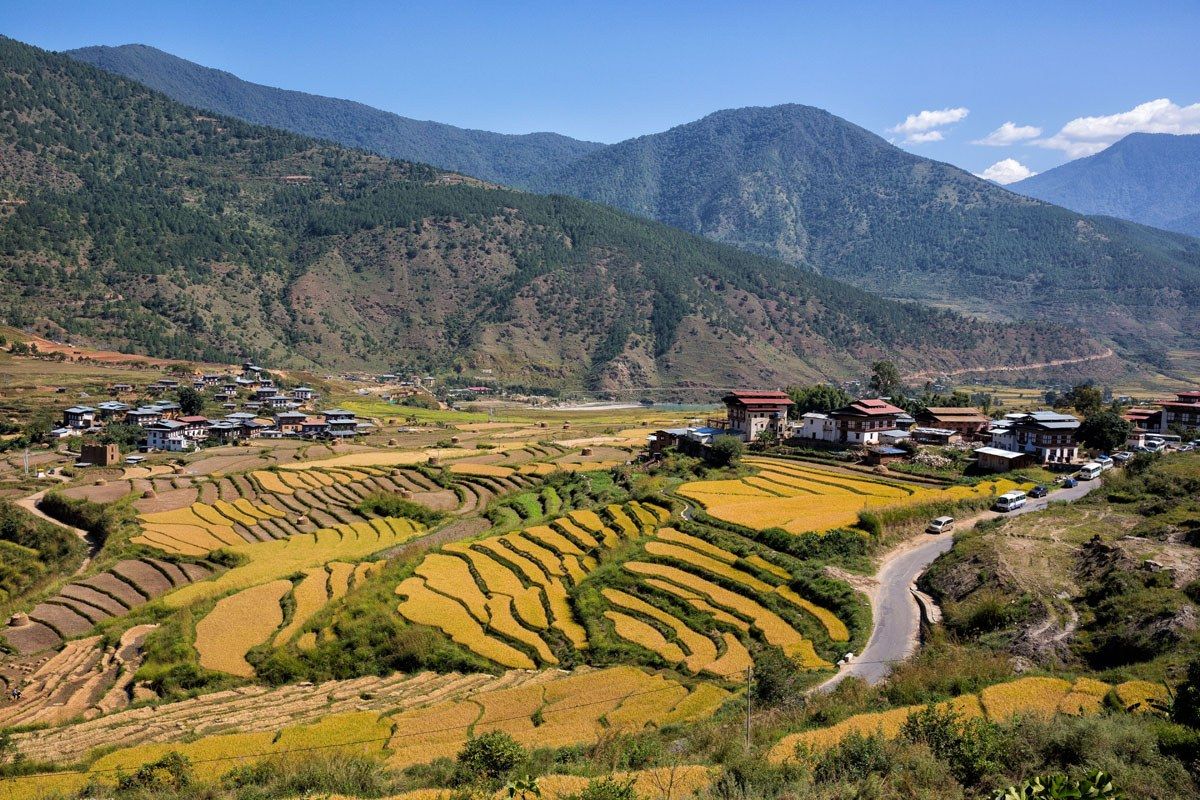 Rice terraces