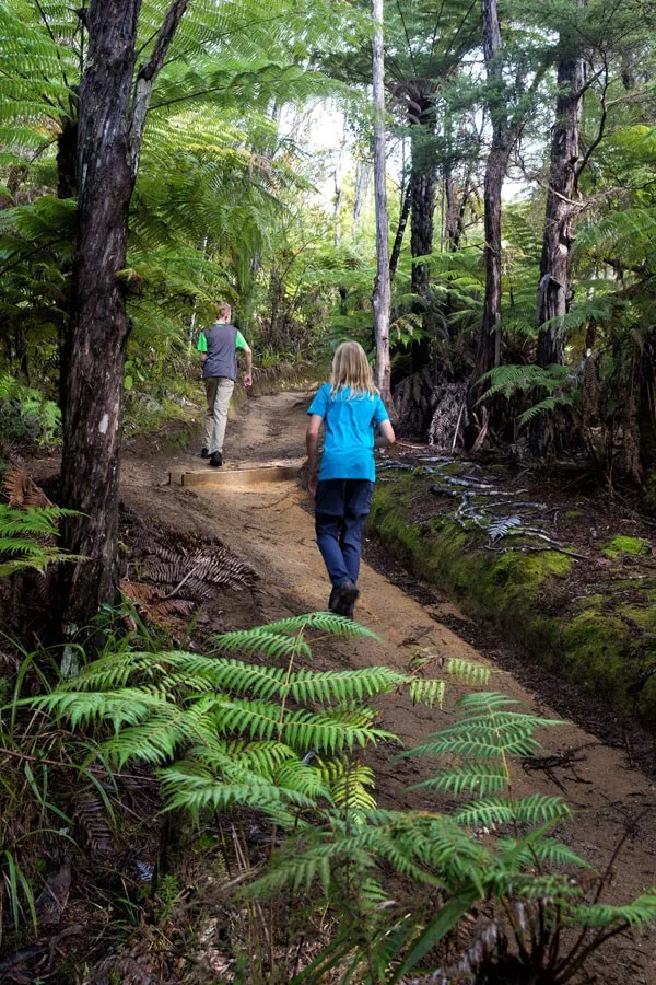 Abel Tasman Coast Track