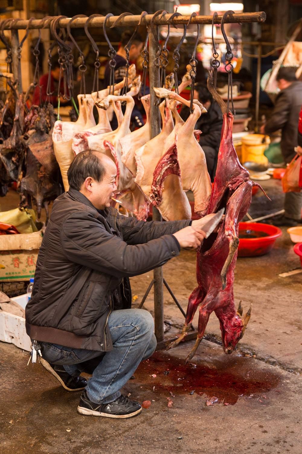 Skinning a deer