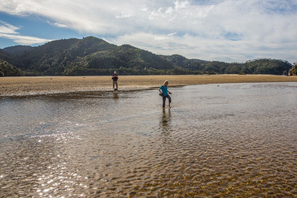 Torrent Bay Low Tide