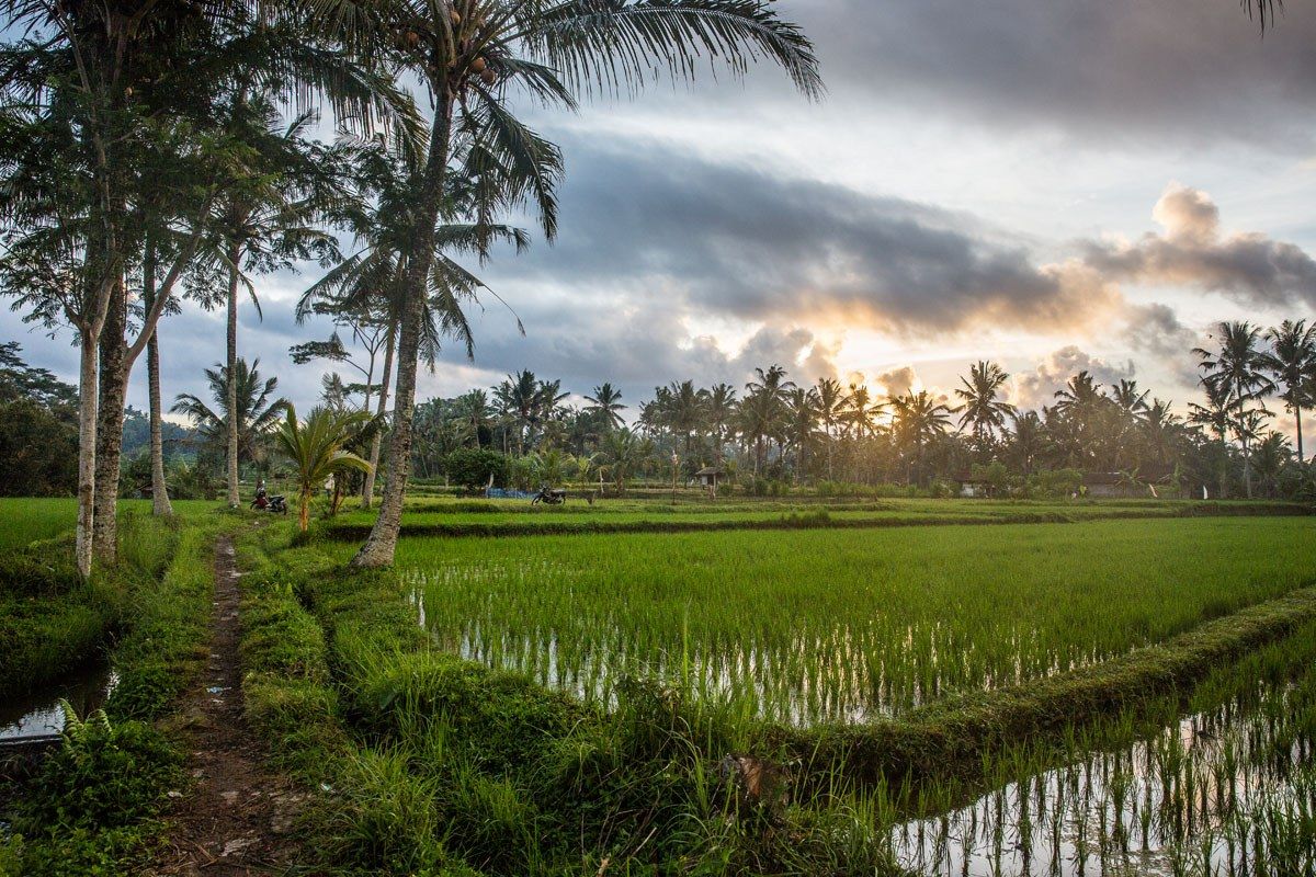 Ubud Bali