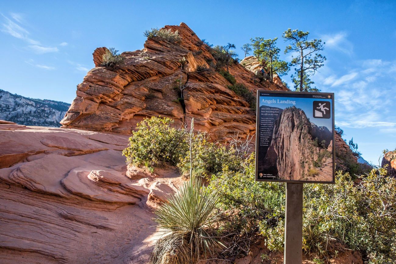 Angels Landing View