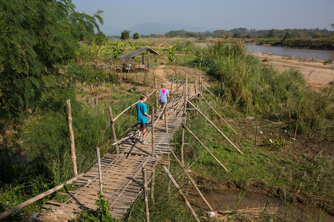 Bamboo Bridge