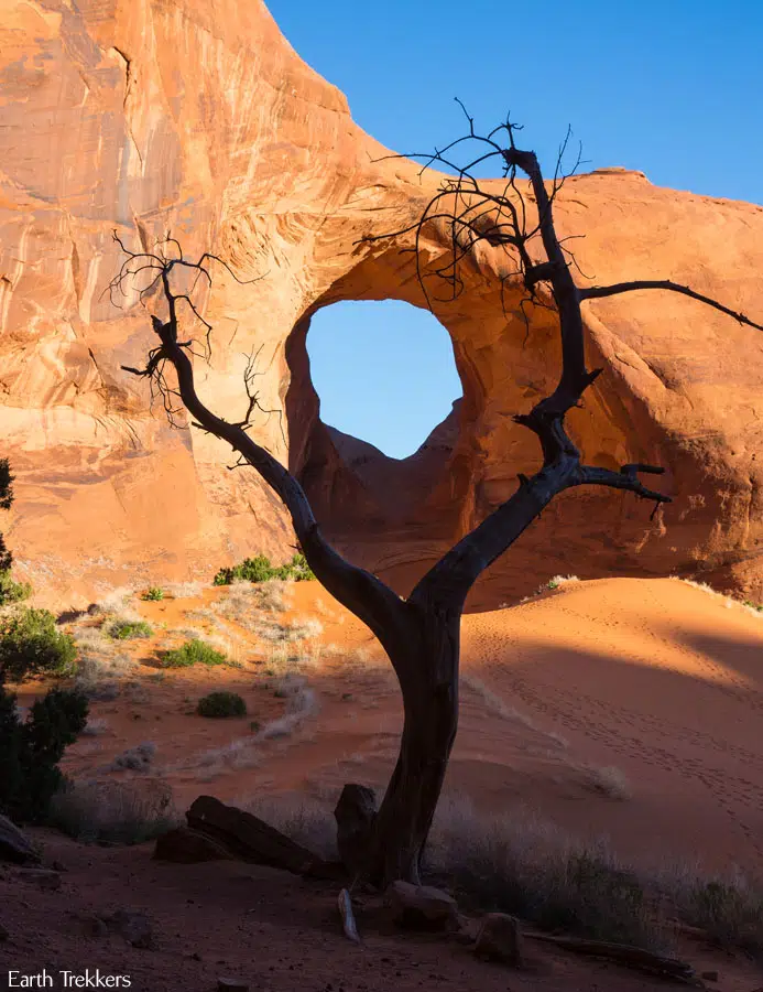 Ear of the Wind Sunrise