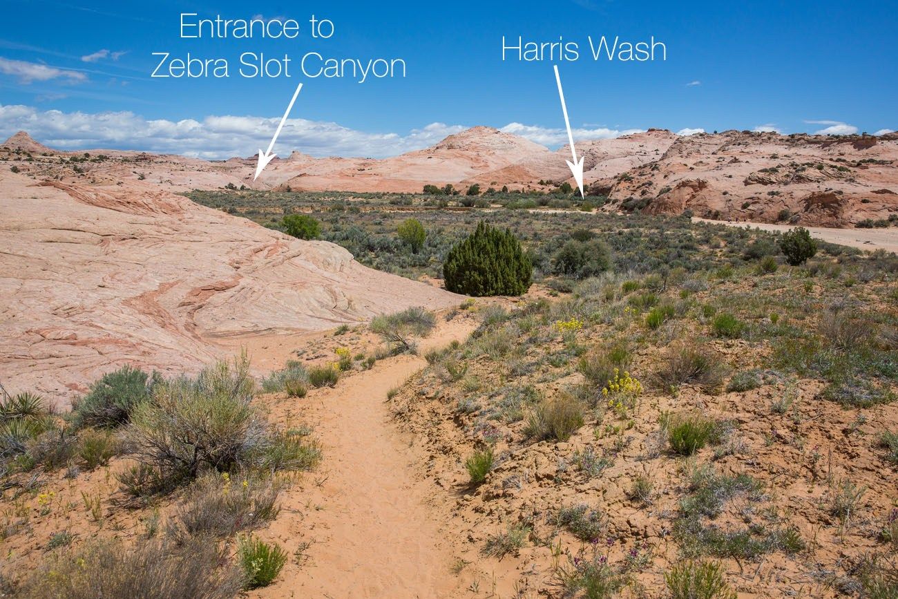 Harris Wash labelled