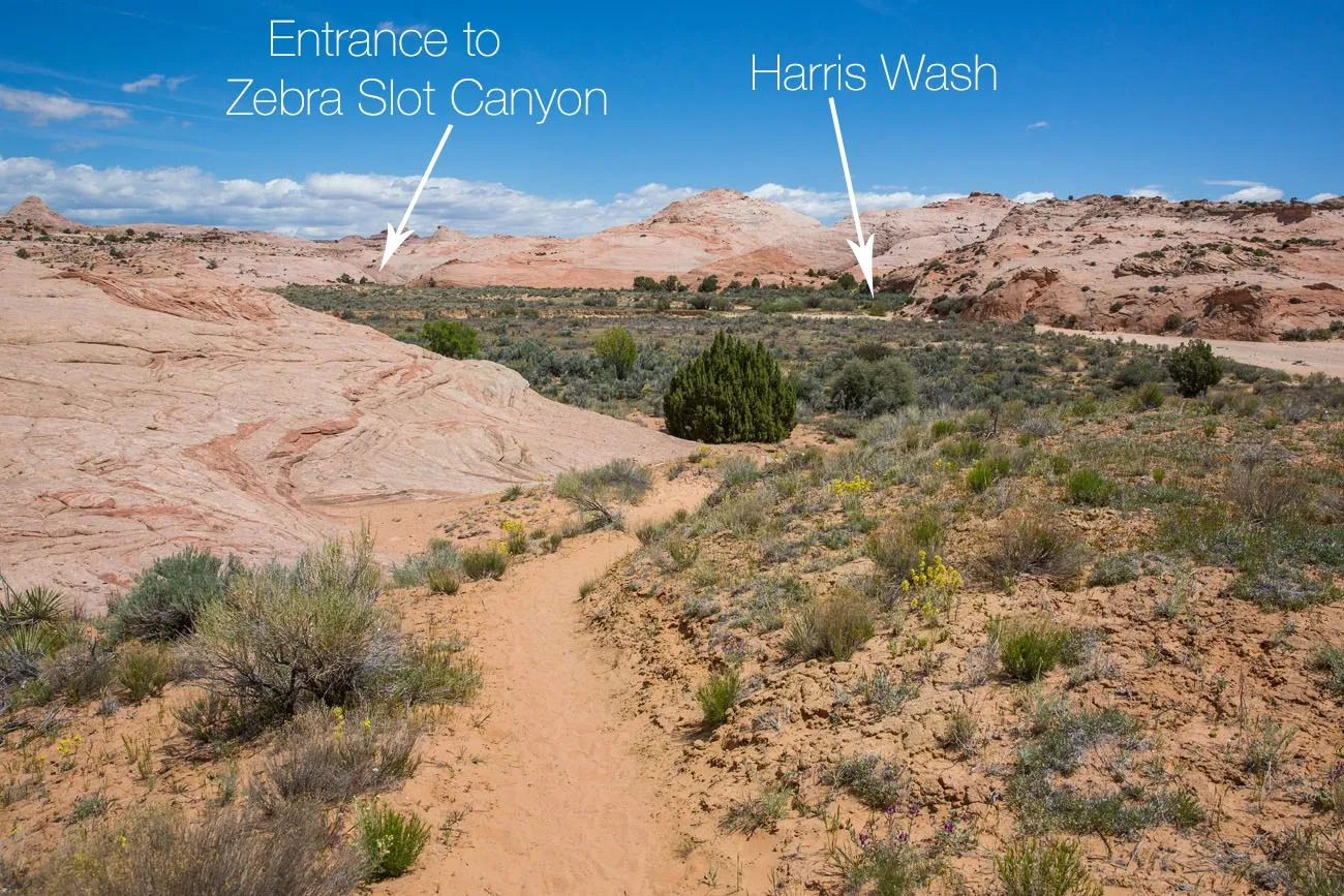 Harris Wash labelled