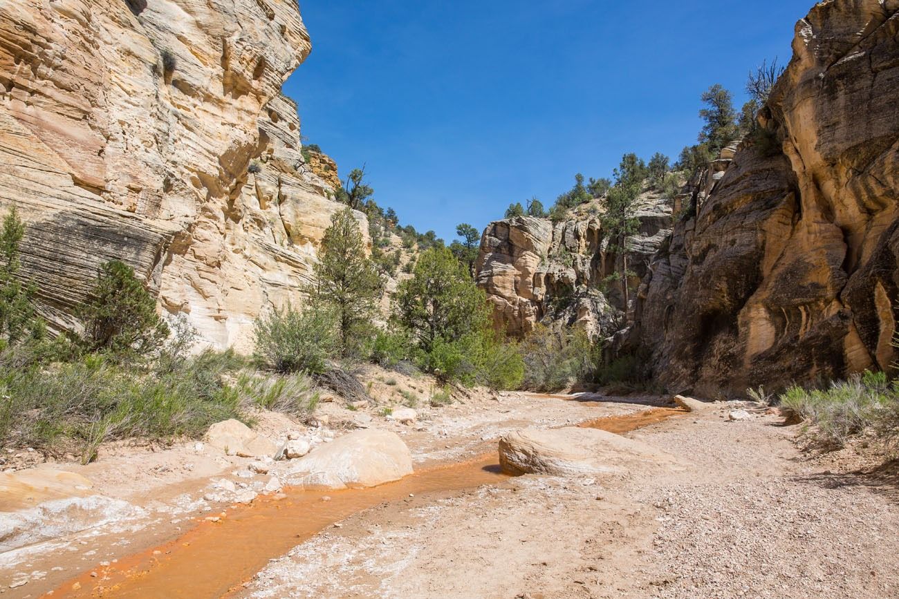 Hiking Willis Creek