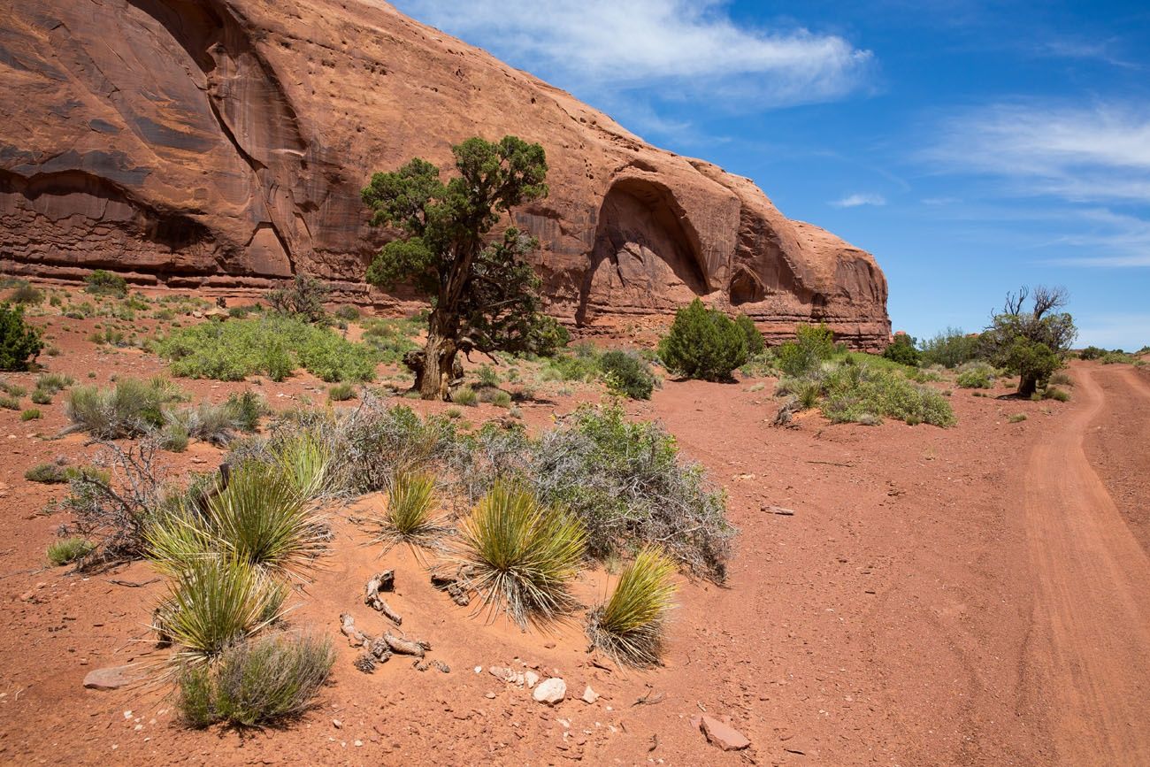 Horse Shoe Canyon