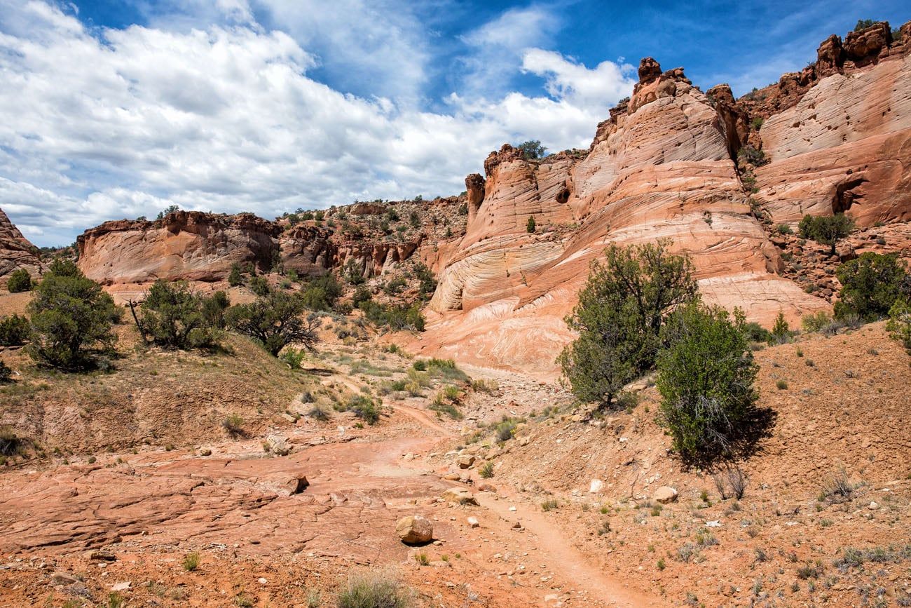 Red rocks on Zebra Slot hike