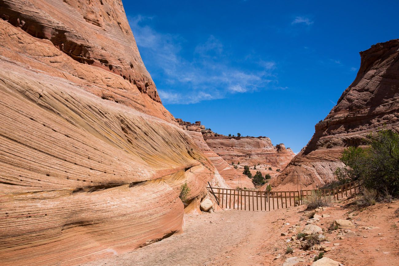 The gate on the trail