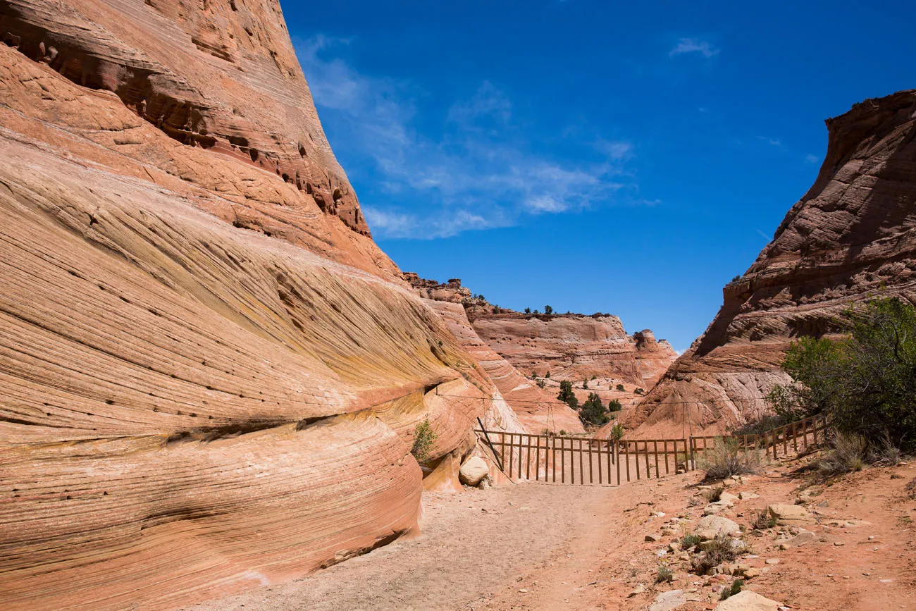 The gate on the trail