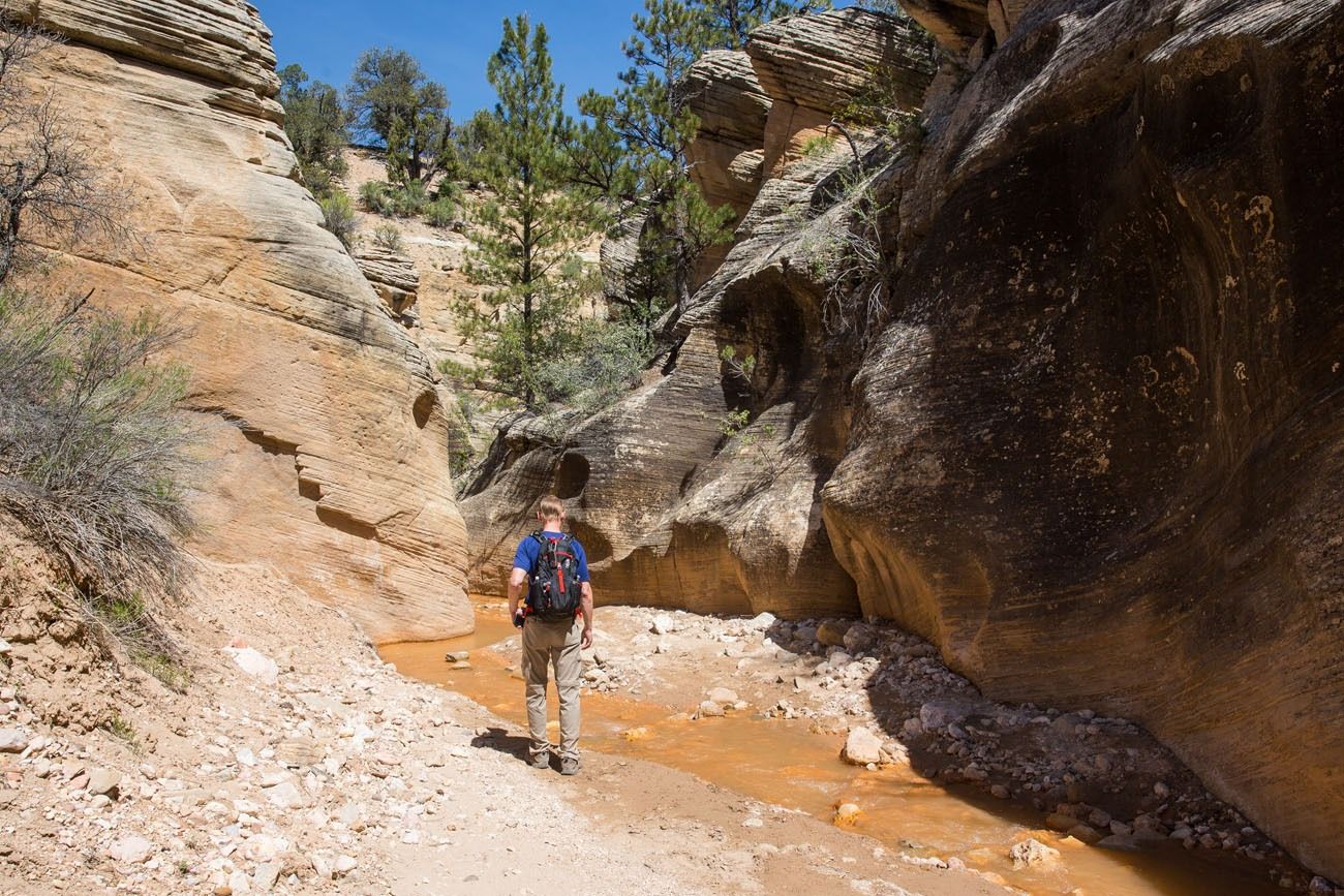 Tim hiking Willis Creek