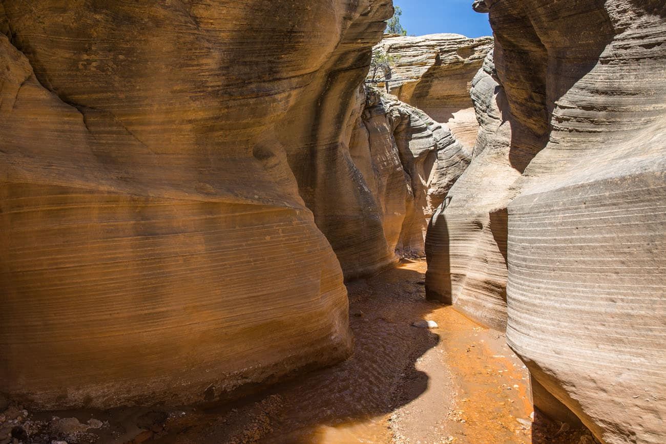 Willis Creek Slot Canyon