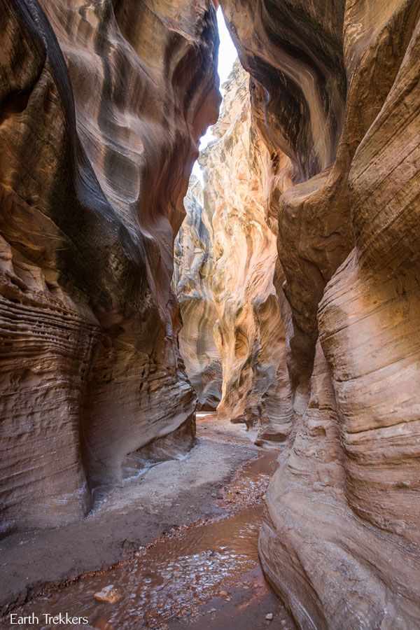 Willis Creek