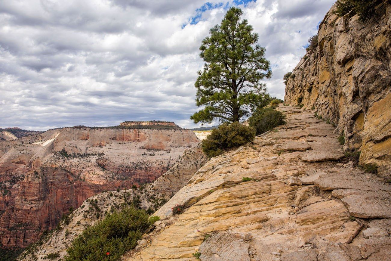 Hiking Trail Zion