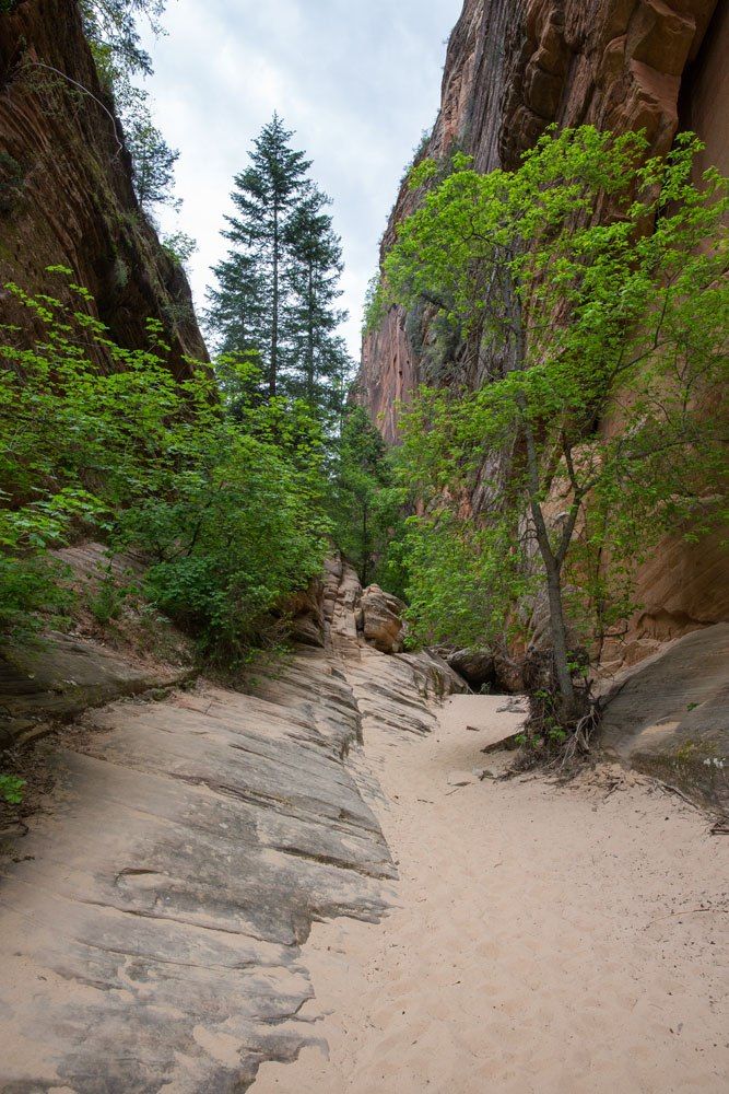 In Hidden Canyon