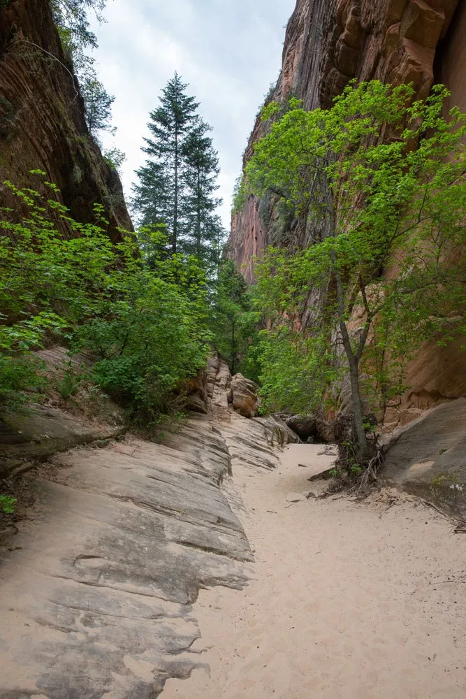In Hidden Canyon