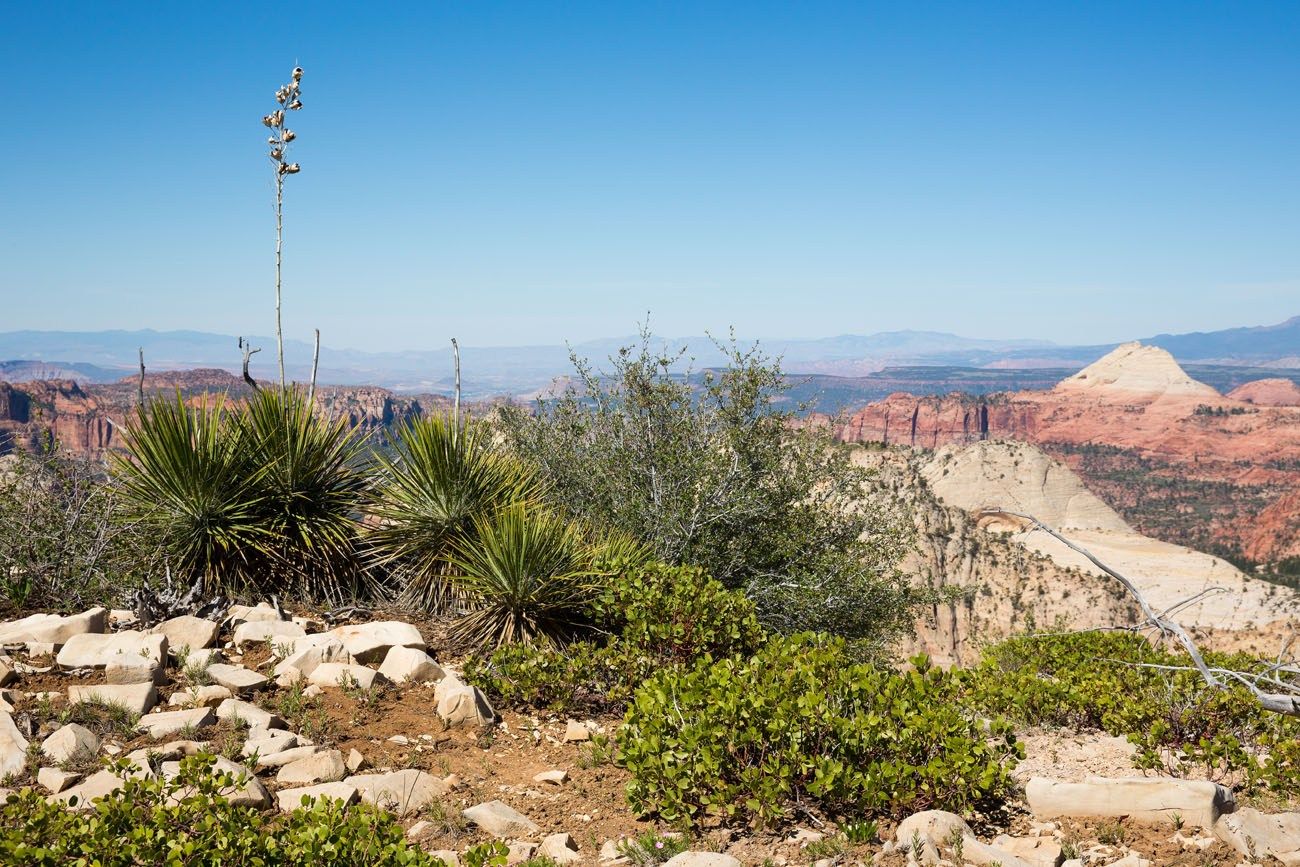 Utah Hiking