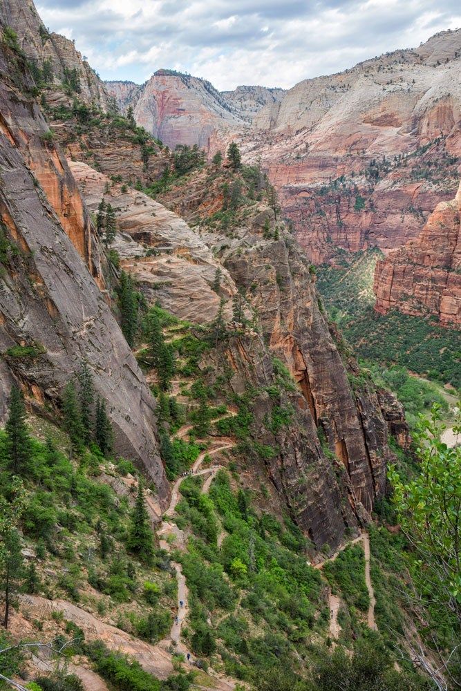 View of the Trail