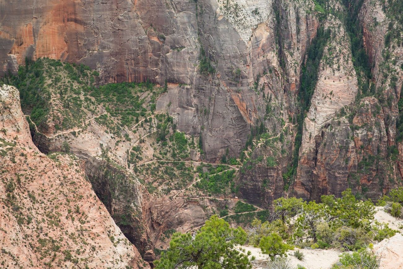 View of the Trail