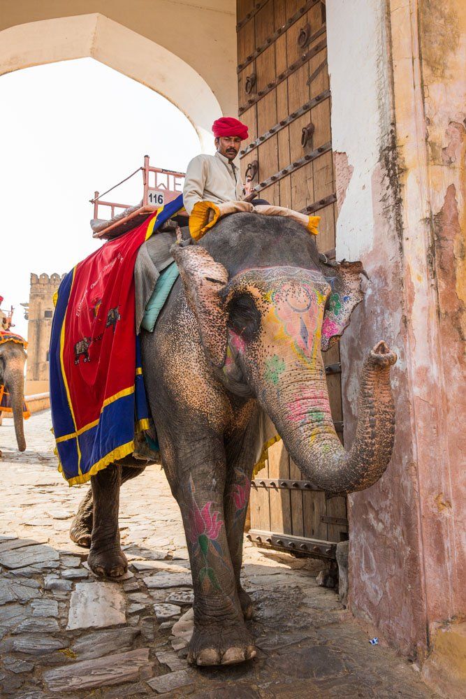 Amber Fort Elephant