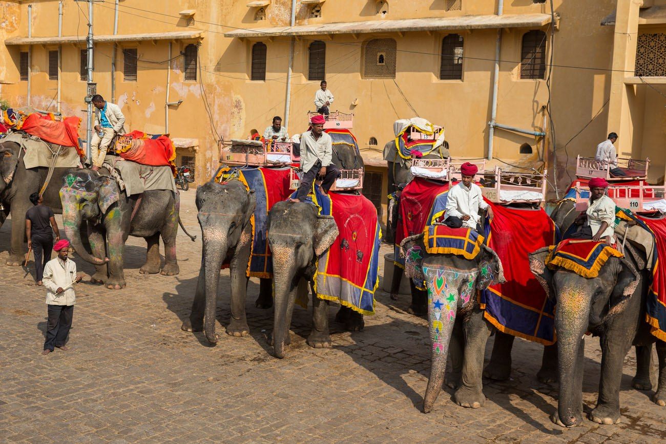 Amber Fort Elephants