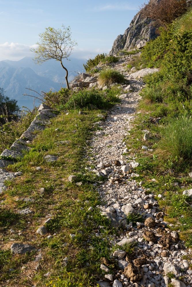 Ladder of Kotor Trail