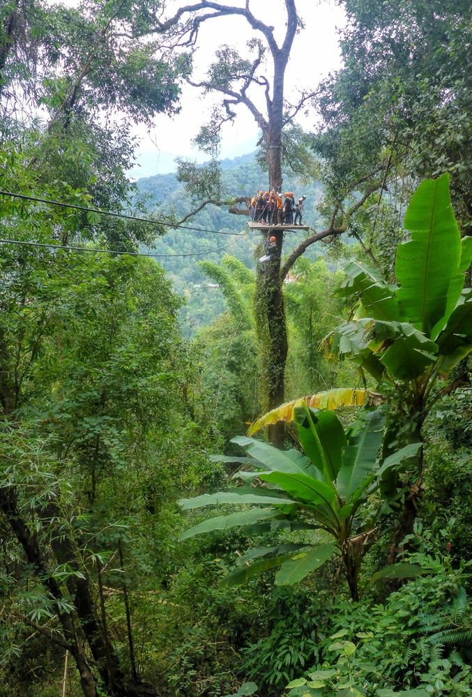 Zip Lining