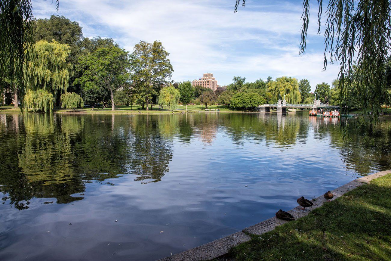 Boston Public Garden