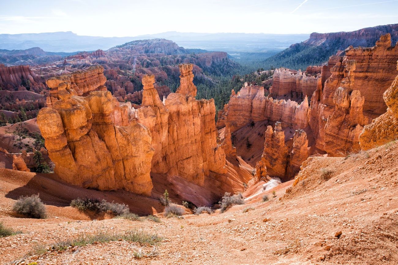 Bryce Hoodoos