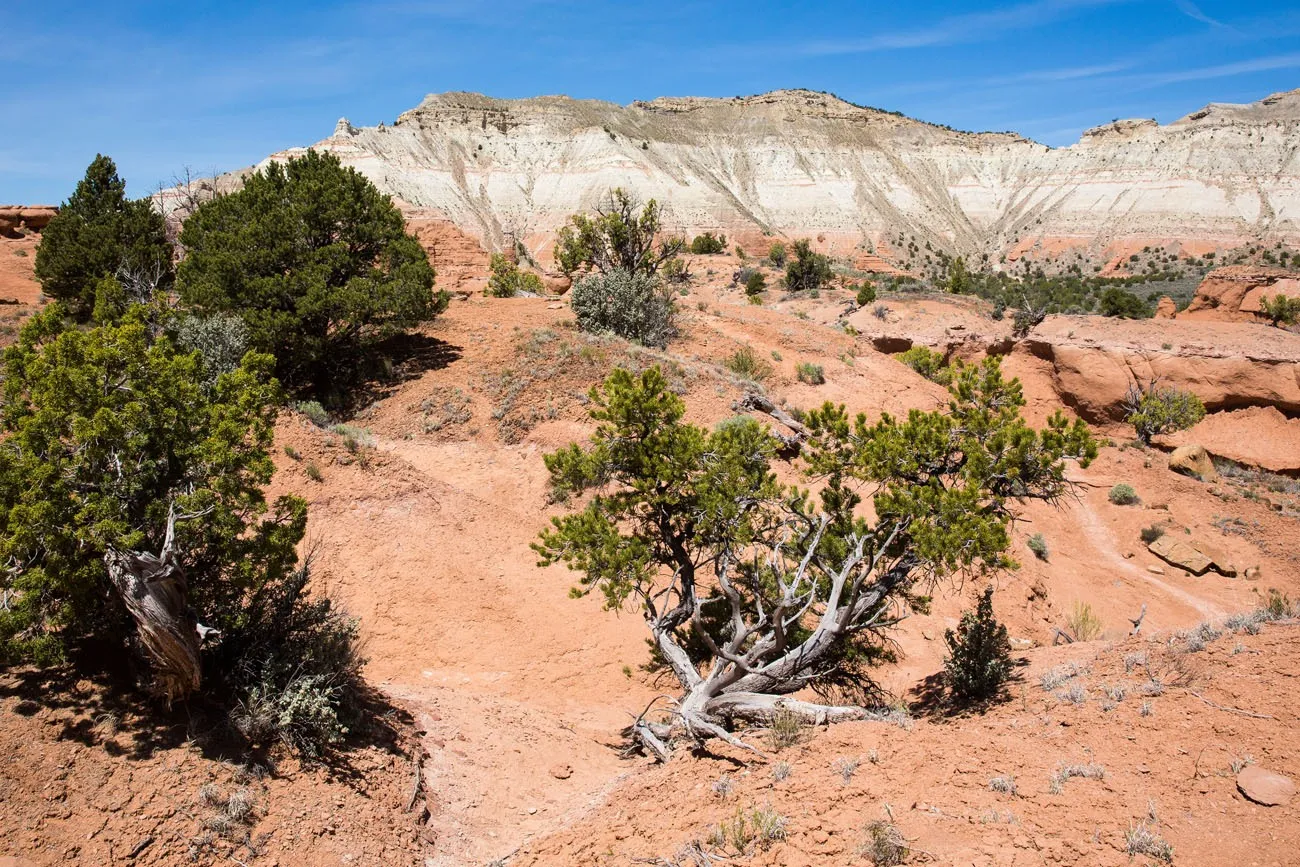 Hiking in Utah