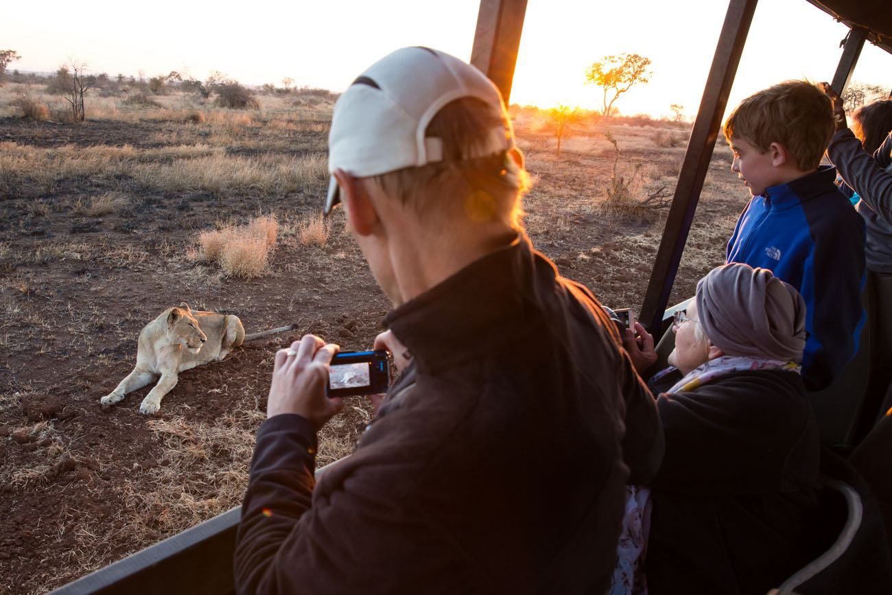 Kruger Game Drive