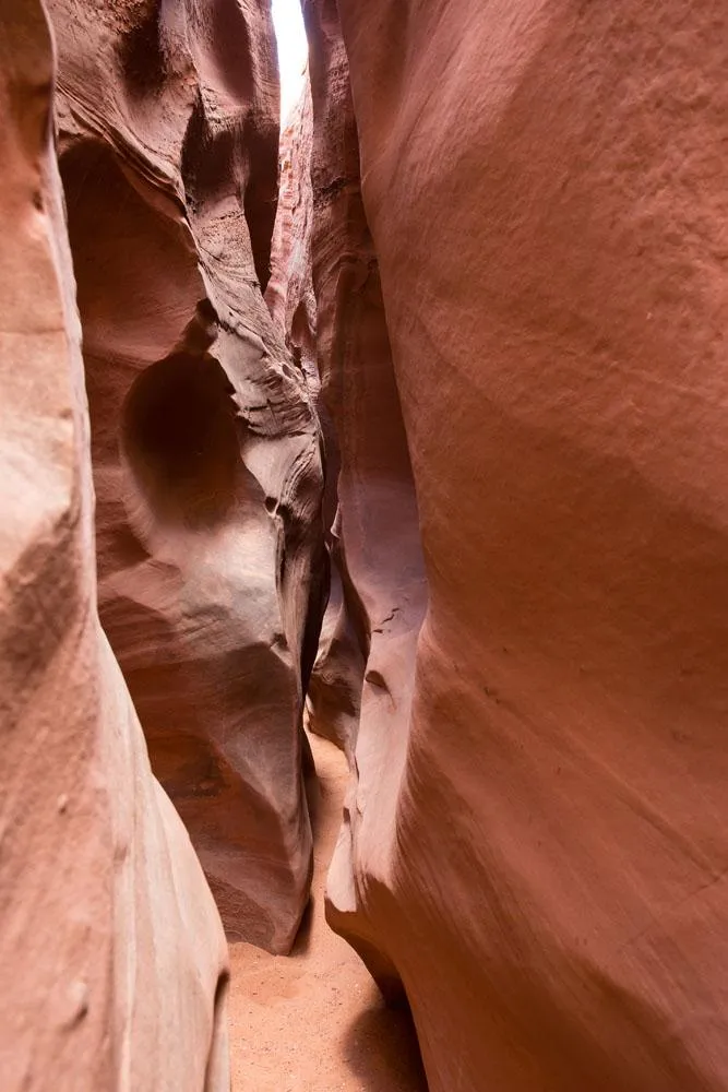 Narrow Spooky Gulch