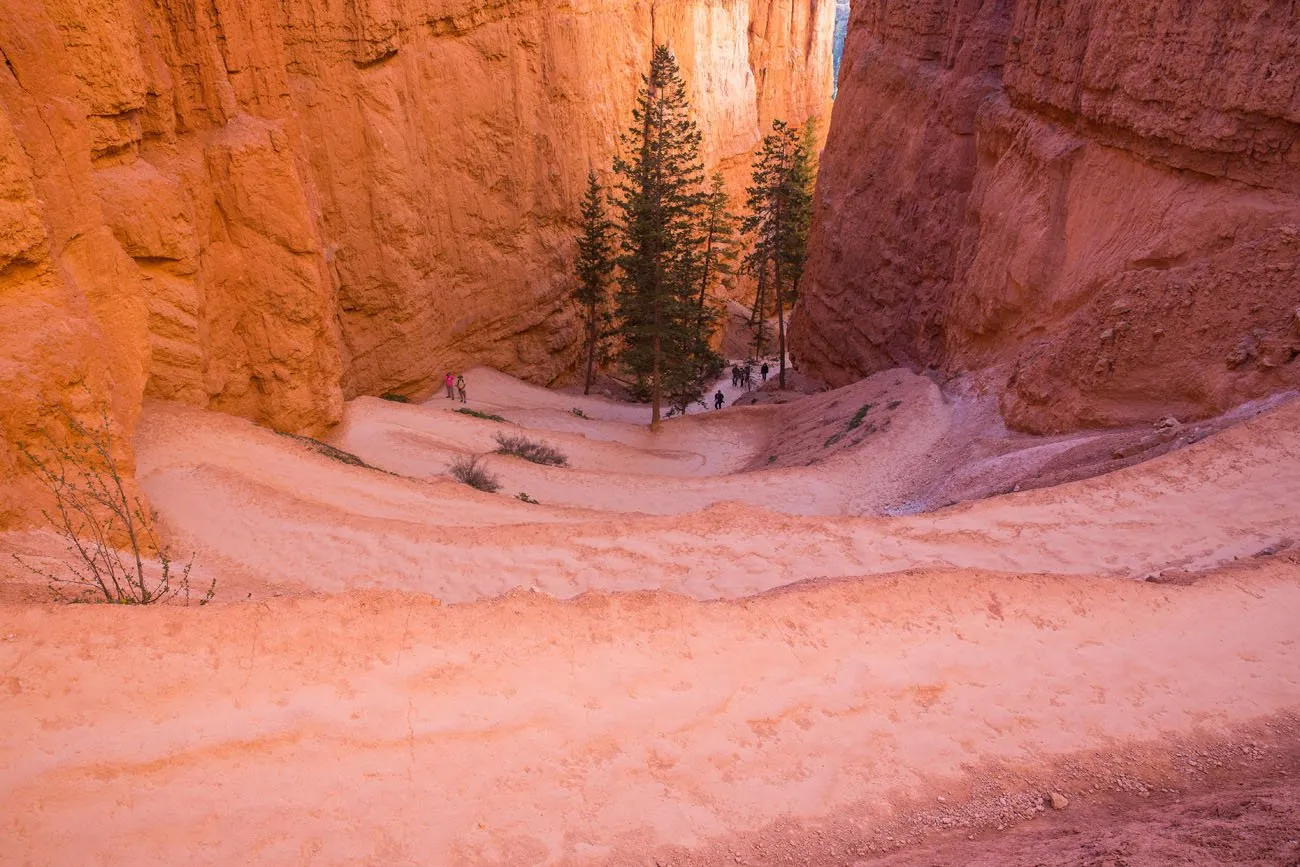 Navajo Loop Trail