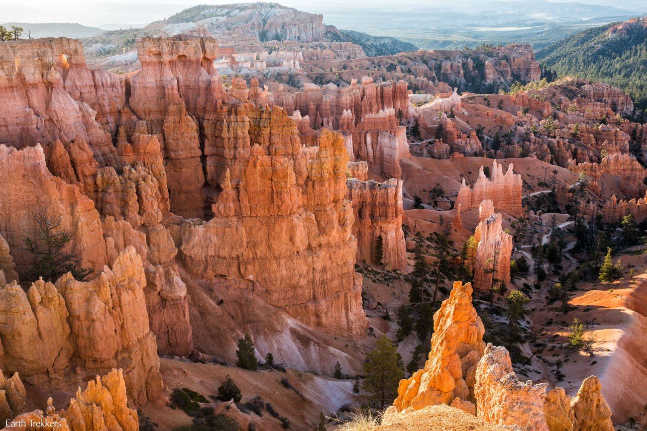 Rim Trail View