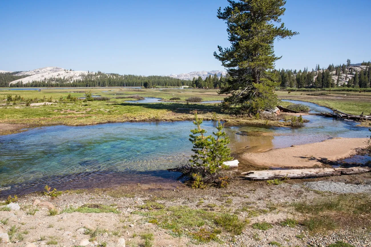 Tuolomne Meadows