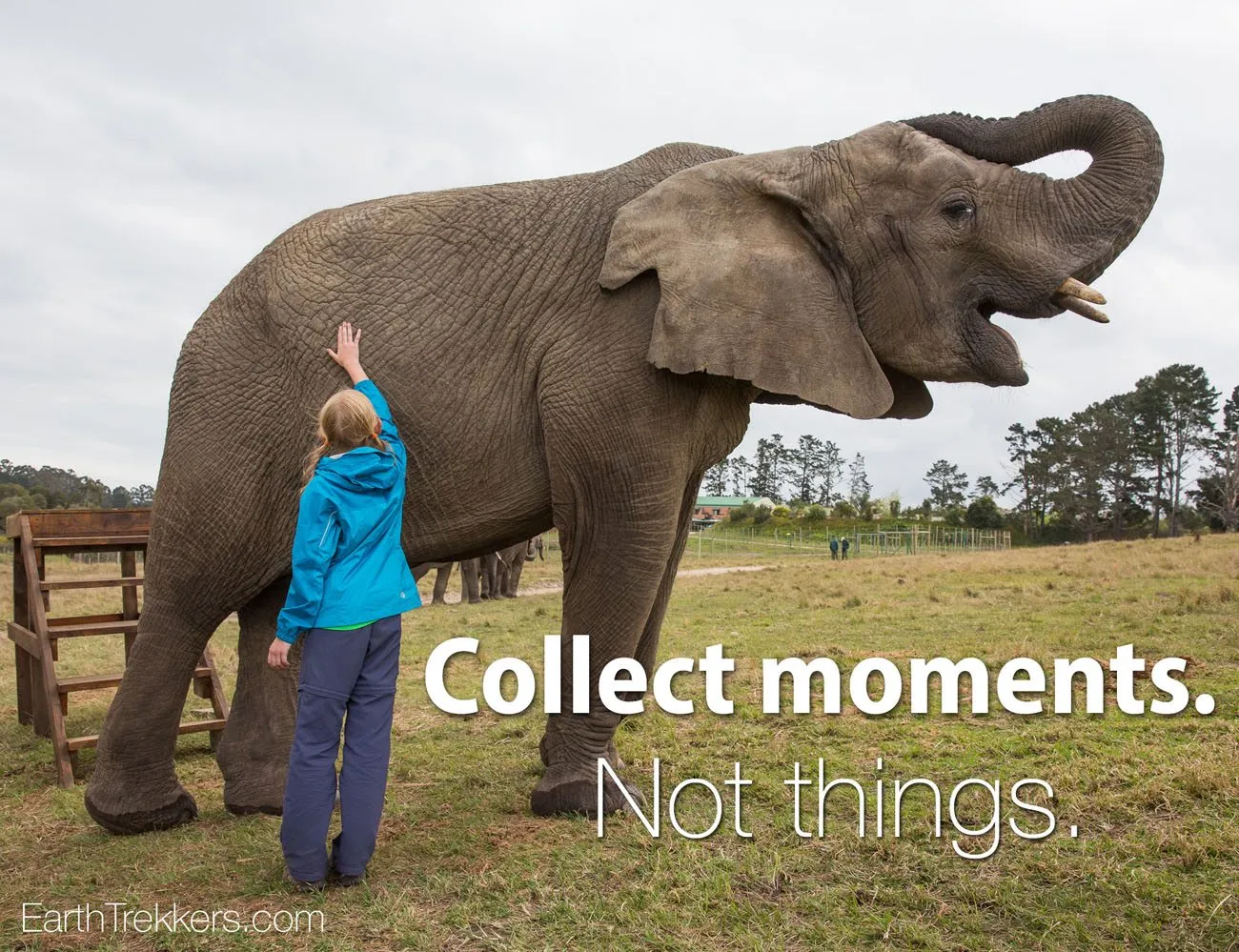 Collect Moments Not Things