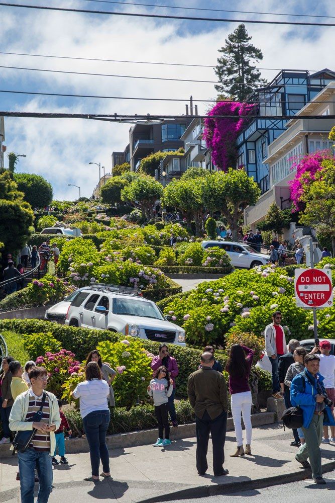 Lombard Street best things to do in San Francisco